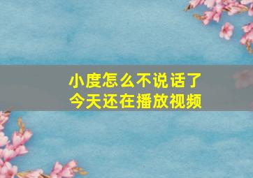 小度怎么不说话了今天还在播放视频