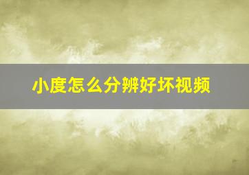 小度怎么分辨好坏视频