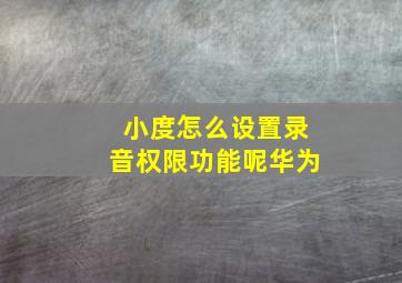 小度怎么设置录音权限功能呢华为