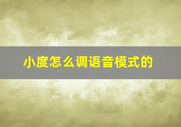 小度怎么调语音模式的