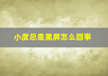 小度总是黑屏怎么回事