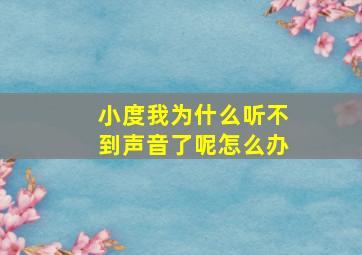 小度我为什么听不到声音了呢怎么办