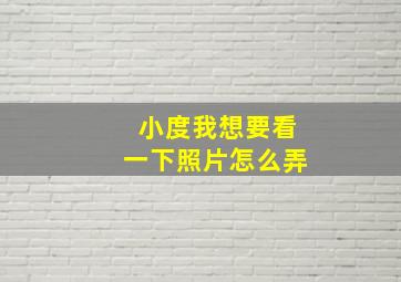 小度我想要看一下照片怎么弄