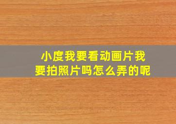 小度我要看动画片我要拍照片吗怎么弄的呢