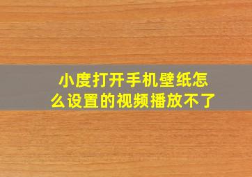 小度打开手机壁纸怎么设置的视频播放不了