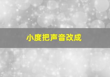 小度把声音改成