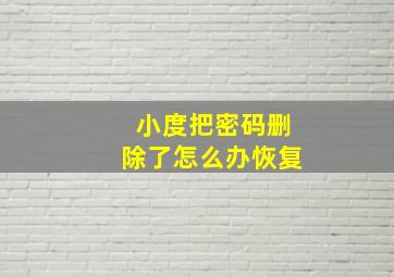 小度把密码删除了怎么办恢复