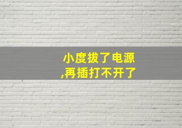 小度拔了电源,再插打不开了