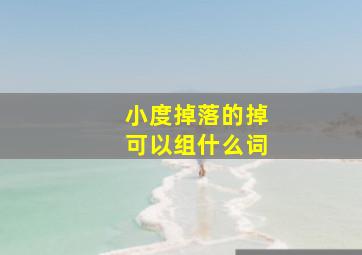 小度掉落的掉可以组什么词