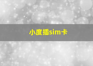 小度插sim卡