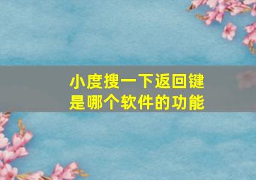 小度搜一下返回键是哪个软件的功能