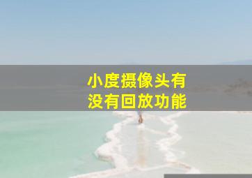 小度摄像头有没有回放功能