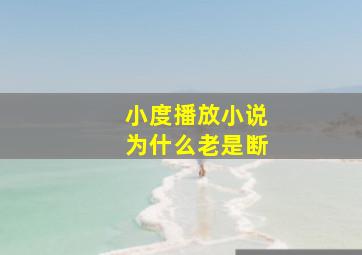 小度播放小说为什么老是断