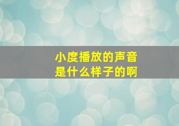 小度播放的声音是什么样子的啊