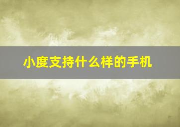 小度支持什么样的手机