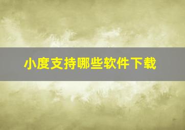 小度支持哪些软件下载