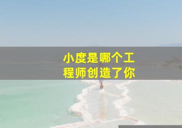 小度是哪个工程师创造了你