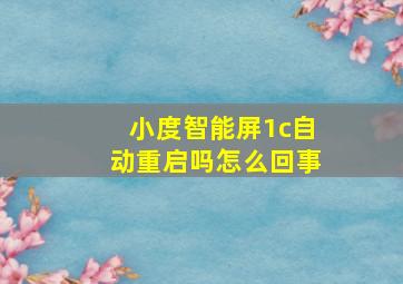 小度智能屏1c自动重启吗怎么回事