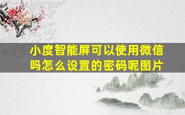 小度智能屏可以使用微信吗怎么设置的密码呢图片