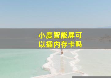 小度智能屏可以插内存卡吗