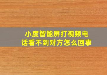 小度智能屏打视频电话看不到对方怎么回事