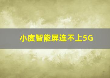 小度智能屏连不上5G