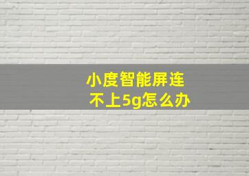 小度智能屏连不上5g怎么办