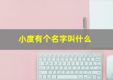 小度有个名字叫什么