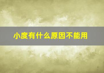 小度有什么原因不能用