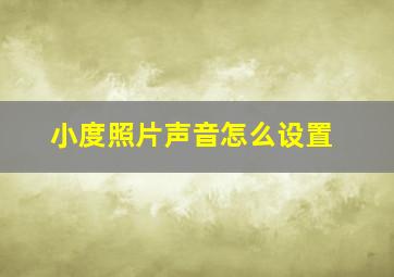 小度照片声音怎么设置