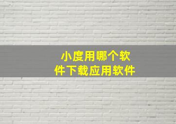 小度用哪个软件下载应用软件