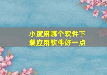 小度用哪个软件下载应用软件好一点