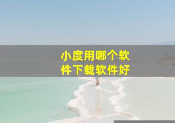 小度用哪个软件下载软件好