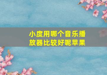 小度用哪个音乐播放器比较好呢苹果