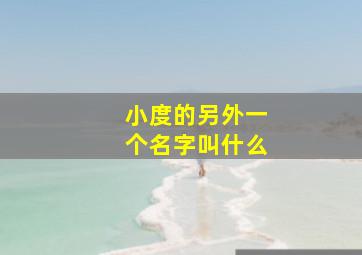 小度的另外一个名字叫什么