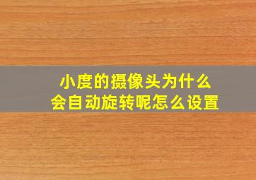 小度的摄像头为什么会自动旋转呢怎么设置