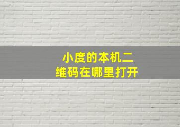 小度的本机二维码在哪里打开