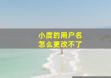 小度的用户名怎么更改不了