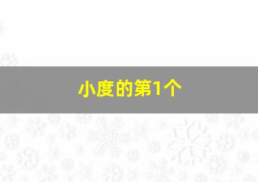 小度的第1个