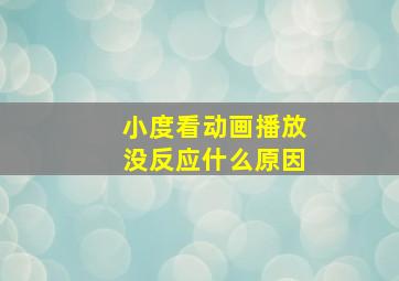 小度看动画播放没反应什么原因