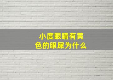 小度眼睛有黄色的眼屎为什么