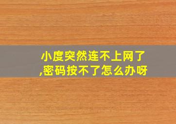 小度突然连不上网了,密码按不了怎么办呀