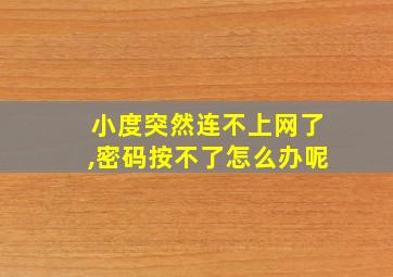 小度突然连不上网了,密码按不了怎么办呢