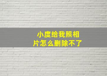 小度给我照相片怎么删除不了