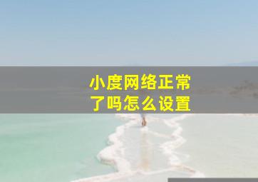 小度网络正常了吗怎么设置