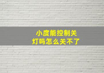 小度能控制关灯吗怎么关不了