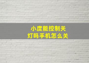 小度能控制关灯吗手机怎么关