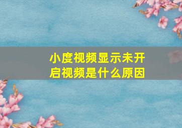 小度视频显示未开启视频是什么原因