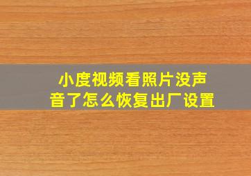 小度视频看照片没声音了怎么恢复出厂设置