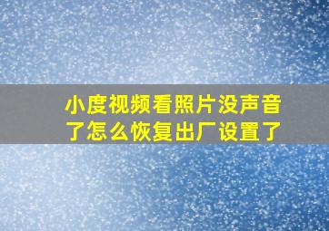 小度视频看照片没声音了怎么恢复出厂设置了